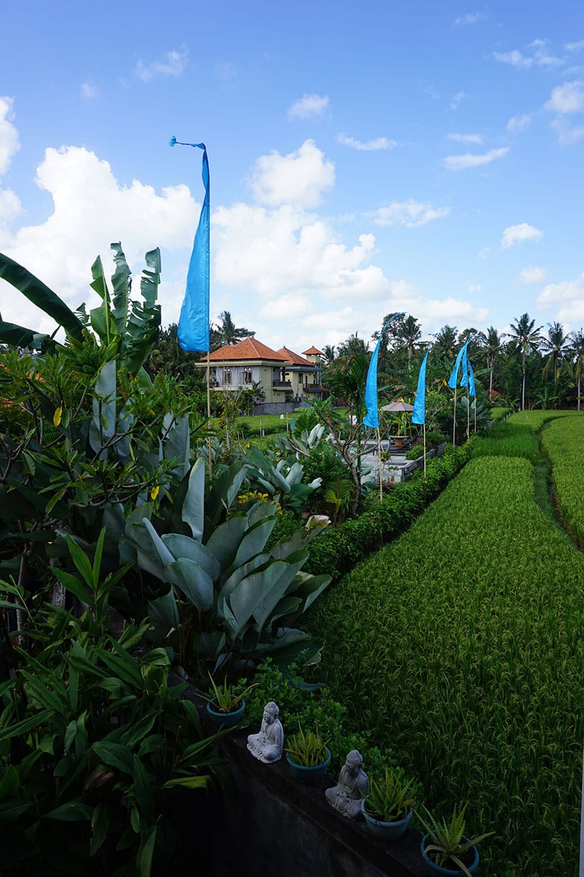 Arrozales y templos alrededor de Ubud