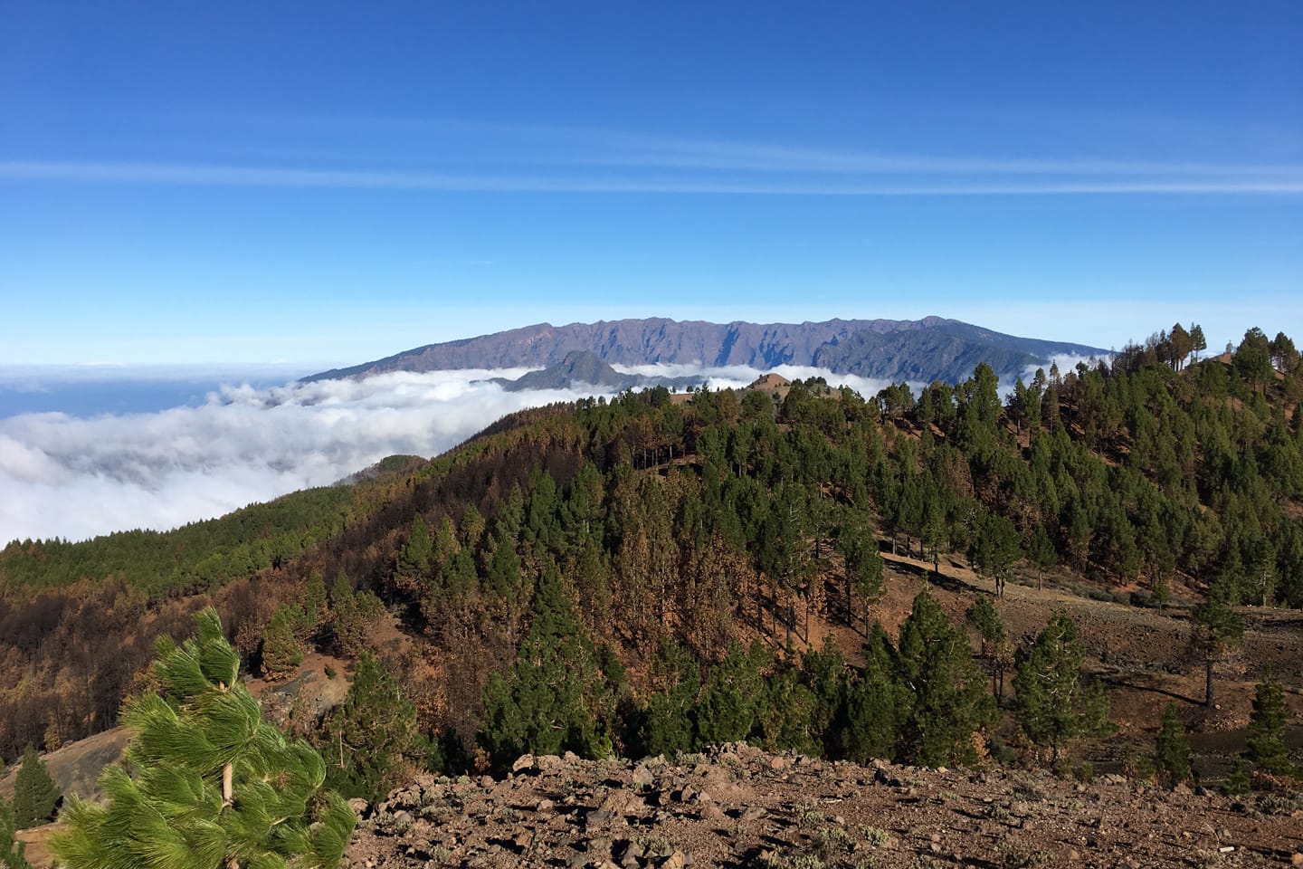 Paisaje volcánico en la Ruta de los Volcanes